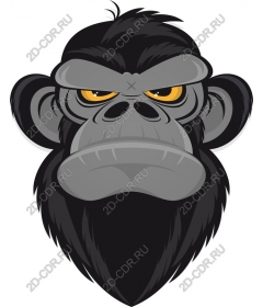  Ferocious gorilla face