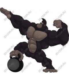 Muscled gorilla with weights