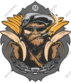  Cool monkey