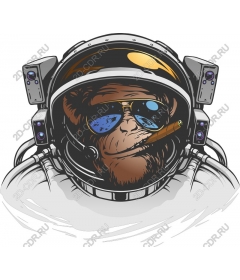 Space monkey
