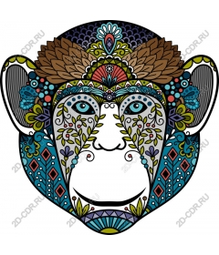  Bright monkey head