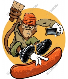 Monkey on skateboard