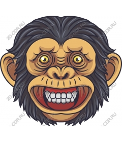 Fancy face monkey