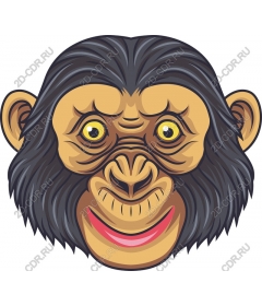 Funny cartoon monkey