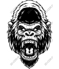  Ferocious roaring gorilla