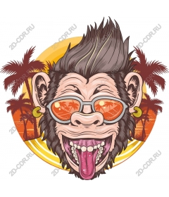  Monkey beach vibration