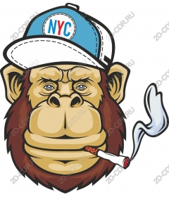  Cool gorilla from new York