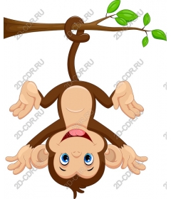  Adorable monkey hanging on tree