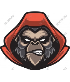 Ferocious gorilla in a red cap