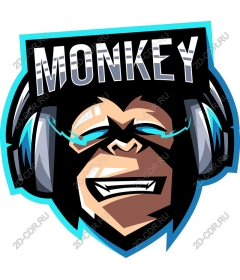  Наушники Vibrant Monkey