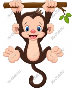  Cute hanging monkey