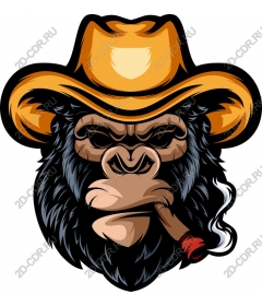  Cowboy Gorilla