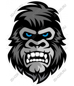 Head ferocious gorilla