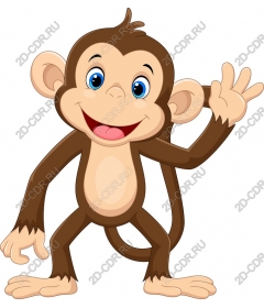  Adorable monkey