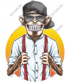  Cool monkey
