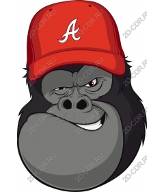  Cheeky gorilla in little red riding hood
