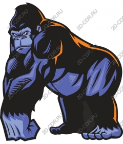 Majestic gorilla