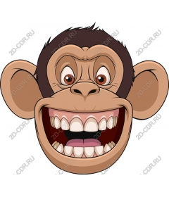 Playful monkey face