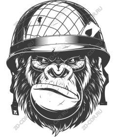  Ferocious soldiers-gorilla