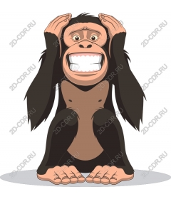  Cartoon Monkey Surprise