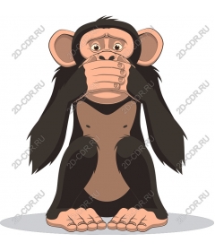  Speak no evil, chimpanzee