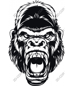  Ferocious gorilla