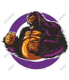  Ferocious gorilla