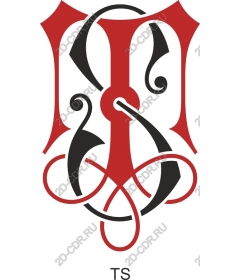  Elegant monogram TS