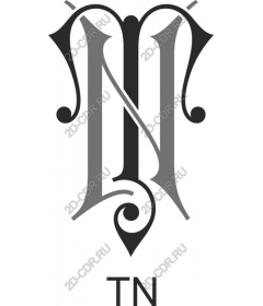  Elegant monogram N and T