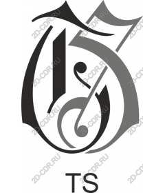 TS Elegant monogram