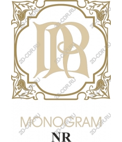  Elegant monogram NR