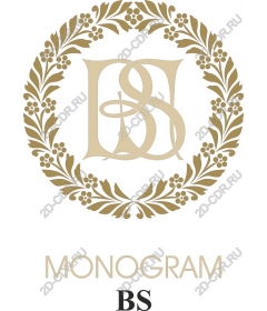  BS monogram