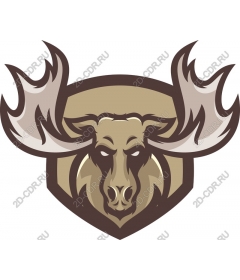 Majestic moose head