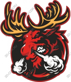  Ferocious moose