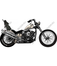  Classic chopper - Freedom Riders Edition