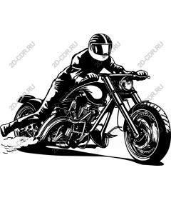 Dynamic Rider