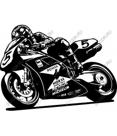 Dynamic biker rider