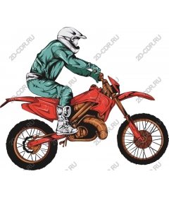 Dynamic Rider
