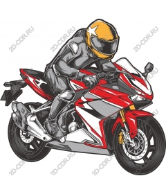 The motorcyclist at high speed