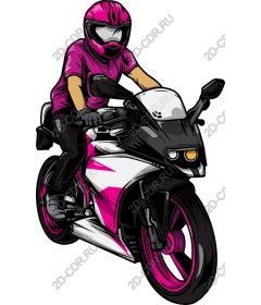  Bright Rider