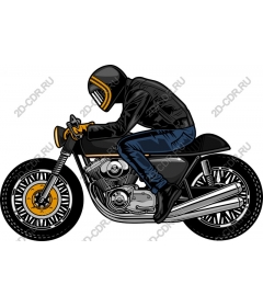 Dynamic Rider