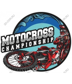 The dynamics of the motocross championship