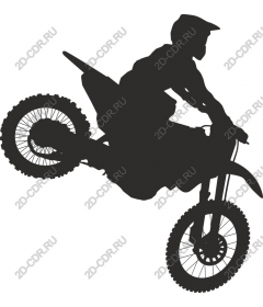 Dynamic racer motocross