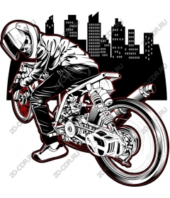 Dynamic Rider