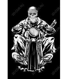  Мотоцикл Skull Rider