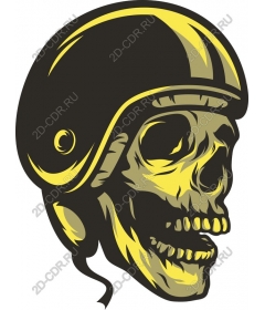  Skull in helmet