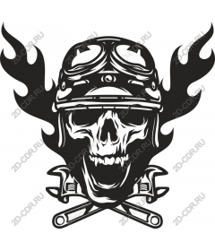  Skull Rider