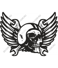  Skull and Wings