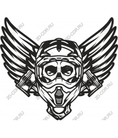 Wings Of Rebellion