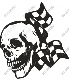 A fierce skull with a checkered flag